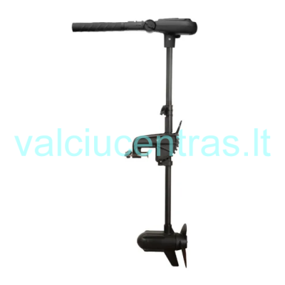 Elektrinis valties variklis Haswing Protruar 2.0 12V - 3AG